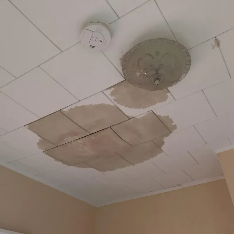 Ceiling Water Damage Repair in Exton, PA