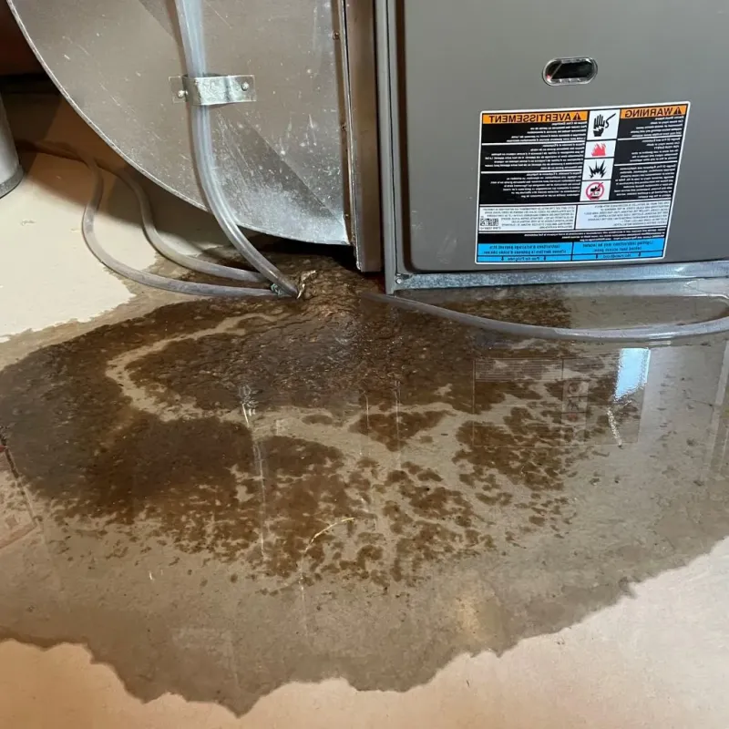 Pipe Burst and Leak Restoration in Exton, PA