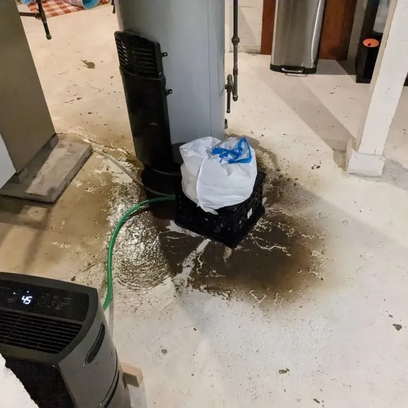Sewage Backup Cleanup Service in Exton, PA